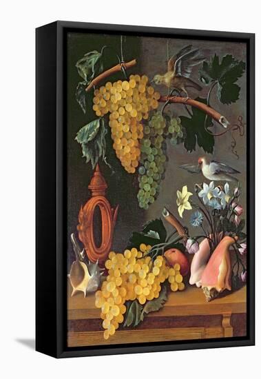 Still Life with Grapes, Birds, Flowers and Shells-Juan de Espinosa-Framed Stretched Canvas