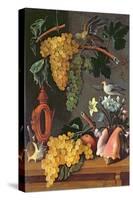 Still Life with Grapes, Birds, Flowers and Shells-Juan de Espinosa-Stretched Canvas