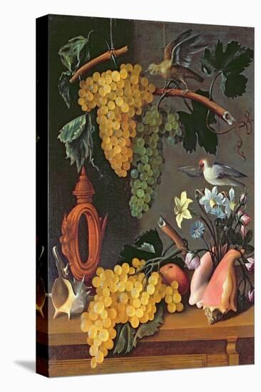 Still Life with Grapes, Birds, Flowers and Shells-Juan de Espinosa-Stretched Canvas