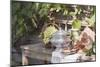 Still Life with Grapes, Bread, Sausages and Wine in Front of Farmhouse-Eising Studio - Food Photo and Video-Mounted Photographic Print