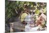 Still Life with Grapes, Bread, Sausages and Wine in Front of Farmhouse-Eising Studio - Food Photo and Video-Mounted Photographic Print