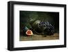 Still Life with Grapes-null-Framed Art Print