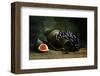 Still Life with Grapes-null-Framed Art Print