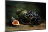 Still Life with Grapes-null-Mounted Art Print