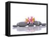 Still Life with Gray Stones and Orchid --Apollofoto-Framed Stretched Canvas