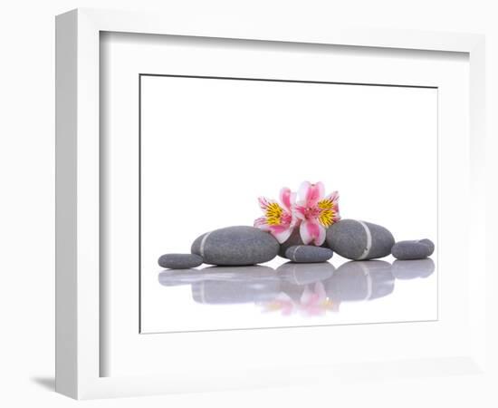 Still Life with Gray Stones and Orchid --Apollofoto-Framed Photographic Print