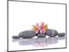 Still Life with Gray Stones and Orchid --Apollofoto-Mounted Photographic Print