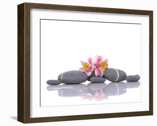 Still Life with Gray Stones and Orchid --Apollofoto-Framed Photographic Print