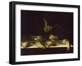 Still Life with Hazel-Nuts, 1696-Adrian Coorte-Framed Giclee Print