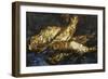 Still Life with Herrings, 1886-Vincent van Gogh-Framed Giclee Print