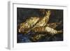 Still Life with Herrings, 1886-Vincent van Gogh-Framed Giclee Print