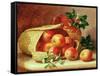 Still Life with Holly and Mistletoe-Eloise Harriet Stannard-Framed Stretched Canvas