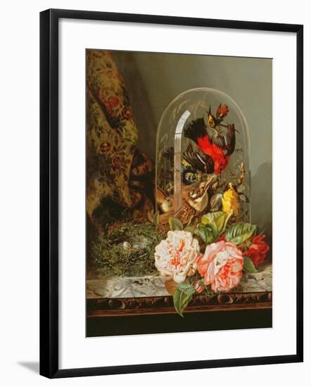 Still Life with Humming Bird in a Glass Dome-Edward Pritchett-Framed Giclee Print