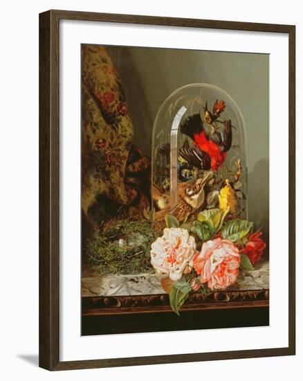 Still Life with Humming Bird in a Glass Dome-Edward Pritchett-Framed Giclee Print