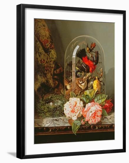 Still Life with Humming Bird in a Glass Dome-Edward Pritchett-Framed Giclee Print