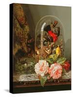 Still Life with Humming Bird in a Glass Dome-Edward Pritchett-Stretched Canvas