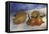 Still Life with Lemons and Oranges, 1881-Edgar Degas-Framed Stretched Canvas