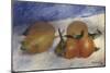 Still Life with Lemons and Oranges, 1881-Edgar Degas-Mounted Giclee Print