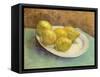 Still Life with Lemons on a Plate, 1887-Vincent van Gogh-Framed Stretched Canvas