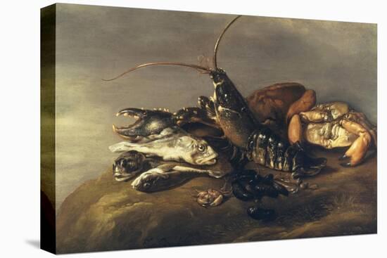 Still Life with Lobster, Crabs, Mussels and Fish-Elias Vonck-Stretched Canvas