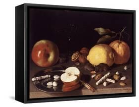 Still Life with Mice, 1619-Lodewik Susi-Framed Stretched Canvas