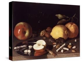 Still Life with Mice, 1619-Lodewik Susi-Stretched Canvas