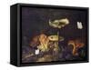 Still Life with Mushrooms and Butterflies-Schrieck-Framed Stretched Canvas
