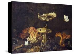 Still Life with Mushrooms and Butterflies-Schrieck-Stretched Canvas