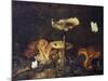 Still Life with Mushrooms and Butterflies-Schrieck-Mounted Giclee Print