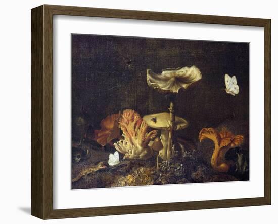 Still Life with Mushrooms and Butterflies-Schrieck-Framed Giclee Print