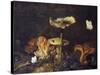 Still Life with Mushrooms and Butterflies-Schrieck-Stretched Canvas