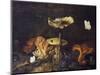 Still Life with Mushrooms and Butterflies-Schrieck-Mounted Giclee Print