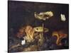 Still Life with Mushrooms and Butterflies-Schrieck-Stretched Canvas