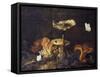 Still Life with Mushrooms and Butterflies-Schrieck-Framed Stretched Canvas