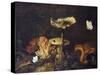 Still Life with Mushrooms and Butterflies-Schrieck-Stretched Canvas