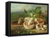 Still Life With Mushrooms Etc., 1859-null-Framed Stretched Canvas