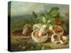 Still Life With Mushrooms Etc., 1859-null-Stretched Canvas