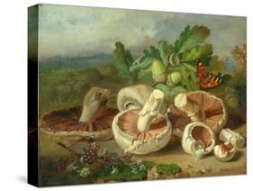 Still Life With Mushrooms Etc., 1859-null-Stretched Canvas