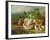 Still Life With Mushrooms Etc., 1859-null-Framed Giclee Print