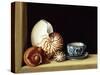 Still Life with Nautilus, 1998-Jenny Barron-Stretched Canvas