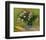 Still Life with Oleander-Vincent van Gogh-Framed Giclee Print