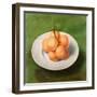 Still Life with Oranges, 1640-Unknown Artist-Framed Giclee Print