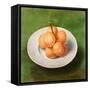 Still Life with Oranges, 1640-Unknown Artist-Framed Stretched Canvas