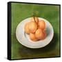 Still Life with Oranges, 1640-Unknown Artist-Framed Stretched Canvas