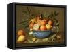 Still Life with Oranges and Lemons in a Wan-Li Porcelain Dish-Jacob Van Hulsdonck-Framed Stretched Canvas