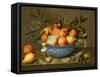 Still Life with Oranges and Lemons in a Wan-Li Porcelain Dish-Jacob Van Hulsdonck-Framed Stretched Canvas