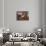 Still Life with Oranges by Paul Gauguin-null-Photographic Print displayed on a wall