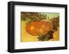 Still Life with Oranges-Vincent van Gogh-Framed Art Print