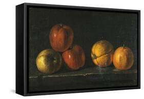 Still-Life with Oranges-Jacques Charles Oudry-Framed Stretched Canvas