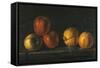 Still-Life with Oranges-Jacques Charles Oudry-Framed Stretched Canvas